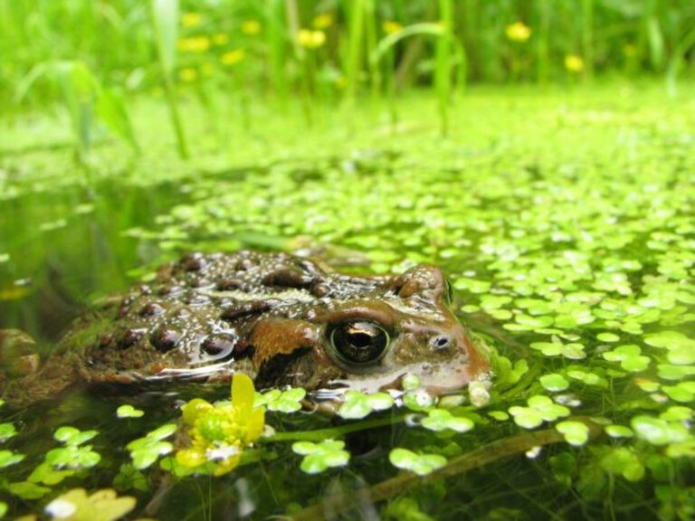 Ecology of the Art World